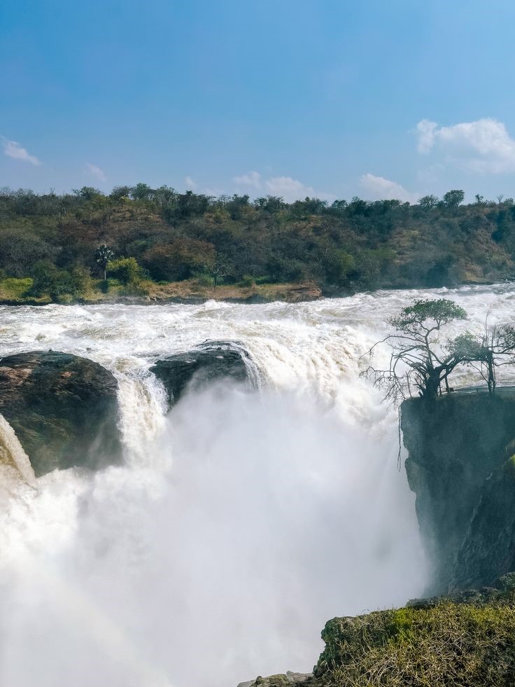 Murchison Falls safari