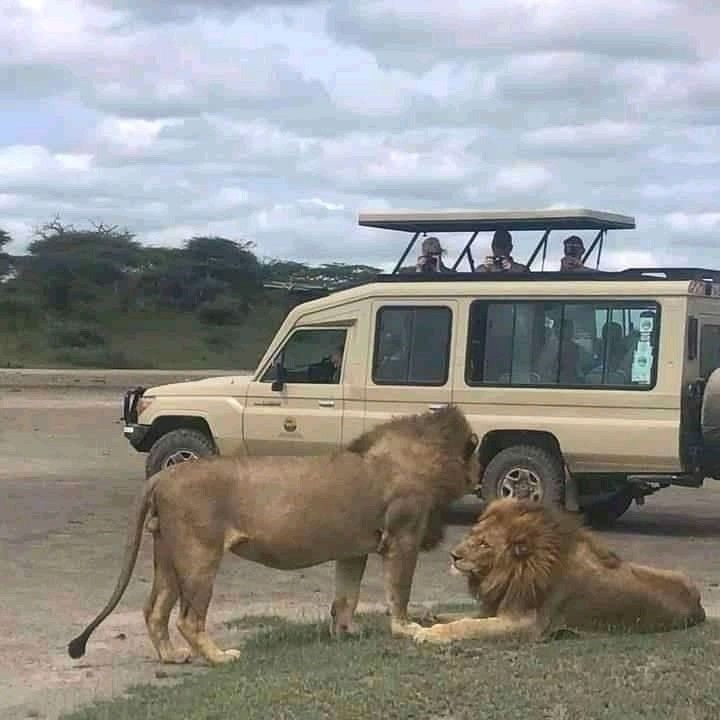 Tanzania